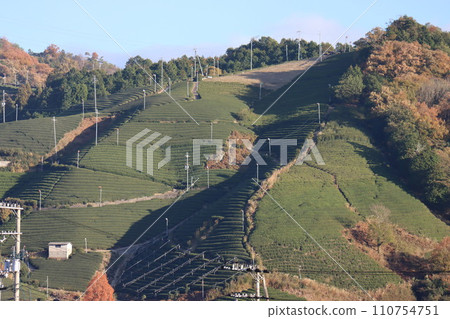 Wazuka 110754751