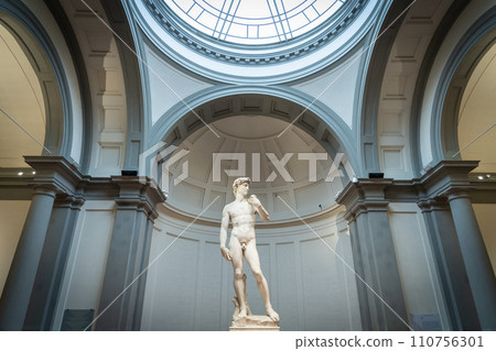 Statue of David from Michelangelo, wide shot from Accademia Gallery, Florence, Italy, Europe Statue of David from Michelangelo, wide shot from Accademia Gallery, Florence, Italy, Europe 110756301