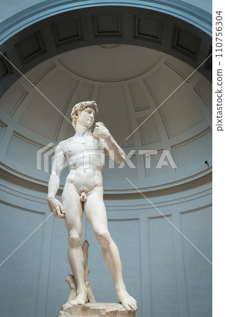 Statue of David from Michelangelo, vertical shot from Accademia Gallery, Florence, Italy, Europe Statue of David from Michelangelo, vertical shot from Accademia Gallery, Florence, Italy, Europe 110756304