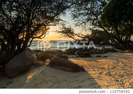 Beautiful seascape at coast during sunrise in Ko Man Klang, Rayong 110756591