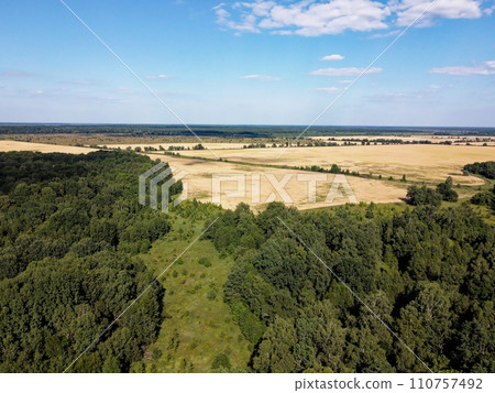 Green deciduous forest next to a farm field. Landscape from a bird's eye view. Sunny weather. Green deciduous forest next to a farm field. Landscape from a bird's eye view. Sunny weather. 110757492
