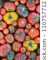 organic heirloom, tomatoes, as background 110757712