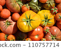 organic heirloom, tomatoes, as background 110757714