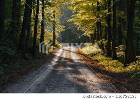 Serpentine Journey: Forest Road Amidst Light Hills 110758155