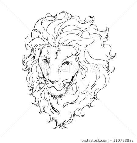 獅子的臉黑白線描 110758882