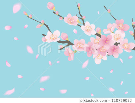 櫻花和花瓣的插圖 110759053