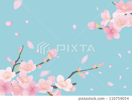 櫻花和花瓣的插圖 櫻花和花瓣的插圖 110759054