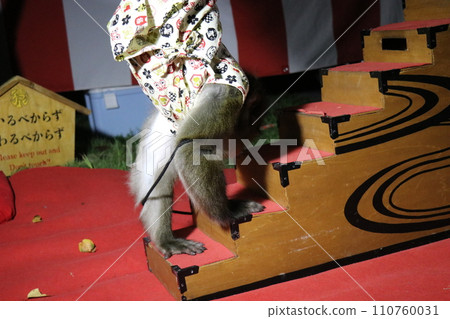 Yamazaki Hachiman Shrine Autumn Festival, Yamazaki Hachiman Shrine, Autumn, Festival, 2023, Dashi, Head Shrine Ritual 110760031