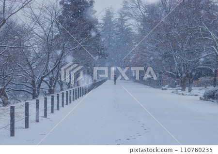 walk in the snow 110760235