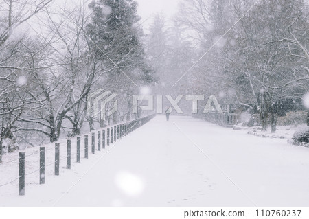 Snow walkway Snow walkway 110760237