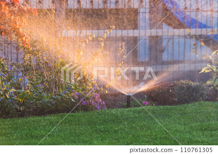 Automatic garden lawn sprinkler in action watering green grass Automatic garden lawn sprinkler in action watering green grass 110761305