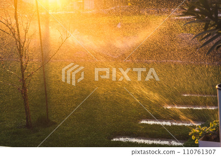 Automatic garden lawn sprinkler in action watering green grass 110761307