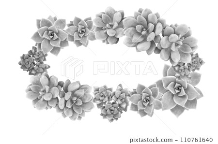 Horizontal botanical wreath of succulents 110761640