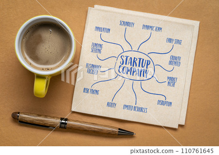 startup company - infographics or mind map sketch on a napkin, new business concept 110761645