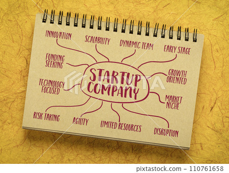 startup company - infographics or mind map sketch on a notebook, new business concept 110761658