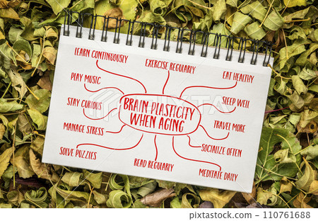 taking adventage of brain plasticity when aging - infographics or mind map sketch in a notebook, healthy aging concept 110761688