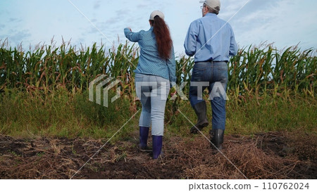 agriculture, farmers handshake field, business corn farm, farmer working tablet with partner, business handshake, rancher, handshake, ripe, sunlight, internet, ear of corn, agronomy, group, corn field 110762024
