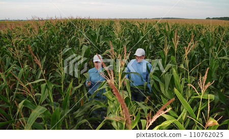 agriculture, farmers handshake field, business corn farm, farmer working tablet with partner, business handshake, kernels, quality, land, glad, sky, businessman, checking, partners, crop, field, corn agriculture, farmers handshake field, business corn farm, farmer working tablet with partner, business handshake, kernels, quality, land, glad, sky, businessman, checking, partners, crop, field, corn 110762025