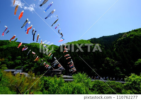 Carp streamers swimming in the blue sky [Tsukui, Sagamihara City, May] 110762277