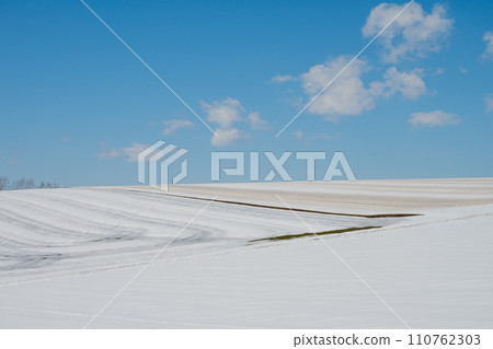 Snow field and blue sky sprinkled with snow melting agent 110762303