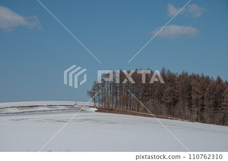 Early spring snow field and blue sky Early spring snow field and blue sky 110762310