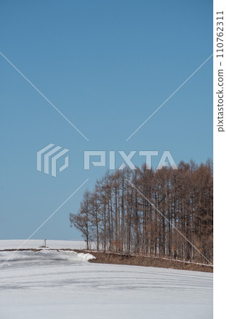 Early spring snow field and blue sky 110762311