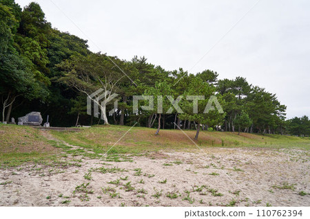 大分縣國東半島沙灘 大分縣國東半島沙灘 110762394