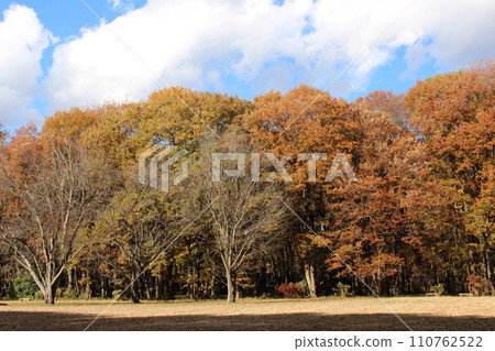 Tobiyama Castle 110762522