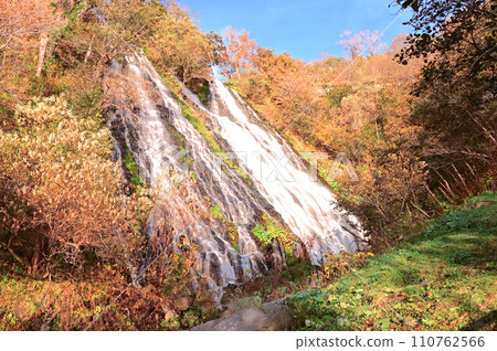 知床阿新交心瀑布與秋葉 110762566