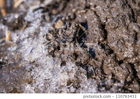 ice on muddy ground 110763431