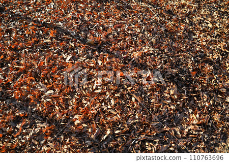 落葉和樹影冬季圖案 110763696