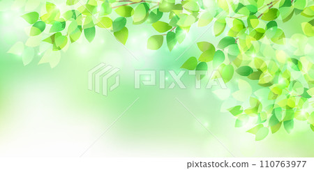 New green leaves landscape background 110763977