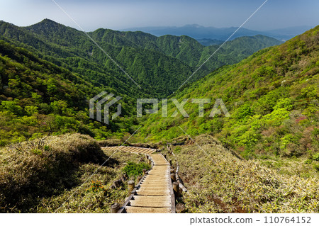 從丹澤/不動峰山脊線眺望新綠的塔之岳、鍋割山和有信溪谷 110764152