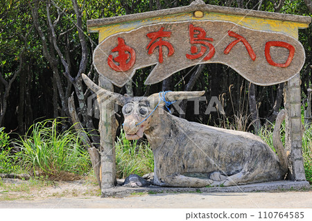 沖繩縣西表島由布島入口處的風景 沖繩縣西表島由布島入口處的風景 110764585