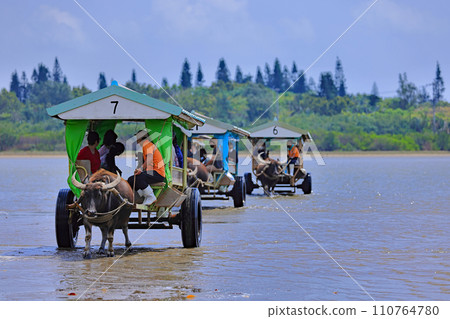 沖繩縣西表島由布島入口處的風景 110764780