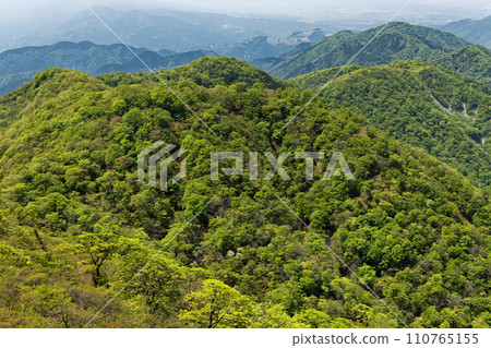 從丹澤/遠野岳看到的鍋子割山脊 110765155