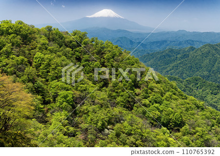 從丹澤/塔野嶽山脊線看到鍋割山山脊和富士山的新鮮綠山毛櫸樹 從丹澤/塔野嶽山脊線看到鍋割山山脊和富士山的新鮮綠山毛櫸樹 110765392