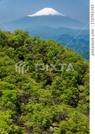 從丹澤/塔野嶽山脊線看到鍋割山山脊和富士山的新鮮綠山毛櫸樹 110765393