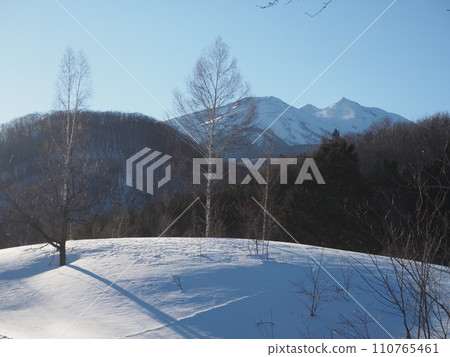 白雪覆蓋的乘鞍山和冬日清晨陽光照耀下的白樺樹 110765461