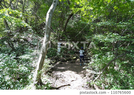 群馬縣澀川市,從水澤觀音側攀登水澤山,休息石休息處,2023年10月2日 群馬縣澀川市,從水澤觀音側攀登水澤山,休息石休息處,2023年10月2日 110765600