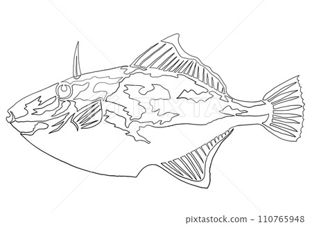 三葉草魚的簡單插圖 三葉草魚的簡單插圖 110765948