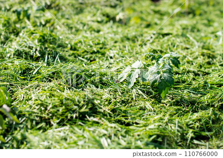 Mulching Mulching 110766000