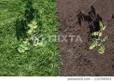Mulching Mulching 110766003