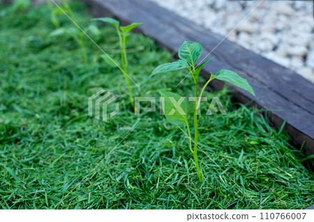 Mulching 110766007