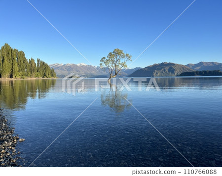 Famous tree in Wanaka, South Island, New Zealand Famous tree in Wanaka, South Island, New Zealand 110766088