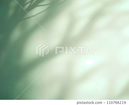 Minimalistic abstract gentle light green background for product presentation with light and intricate shadow from tree branches on wall  110766219