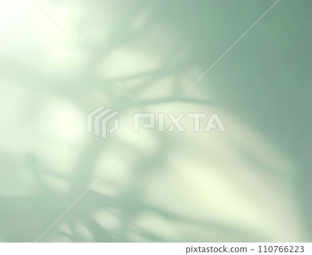 Minimalistic abstract gentle light green background for product presentation with light and intricate shadow from tree branches on wall Minimalistic abstract gentle light green background for product presentation with light and intricate shadow from tree branches on wall 110766223