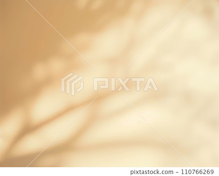 Minimalistic abstract gentle light yellow background for product presentation with light and intricate shadow from tree branches on wall Minimalistic abstract gentle light yellow background for product presentation with light and intricate shadow from tree branches on wall 110766269