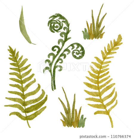 Seamless hand drawn watercolor illustration with green wild ferns herbs flowers leaves in wood woodland forest. Organic natural plants, floral botanical design for wallpapers textile wrapping paper 110766374