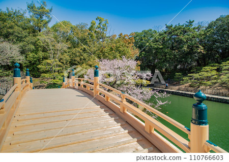 特色景點：栗林公園江月橋、江戶彼岸櫻花 110766603